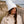 Kiara - Faux Fur Trim Beanie Hat