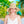 Kris - Sombrero natural de cubo de paja con flecos