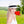 Tobago - Sombrero White Straw Fedora con moldura de cinta negra